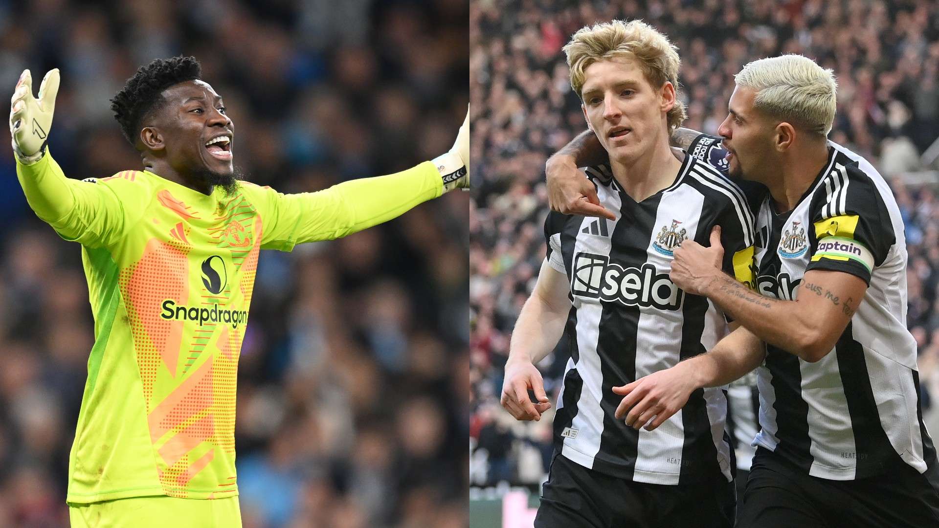 更是希望能 更是希望能